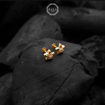 Star Ear tops pair